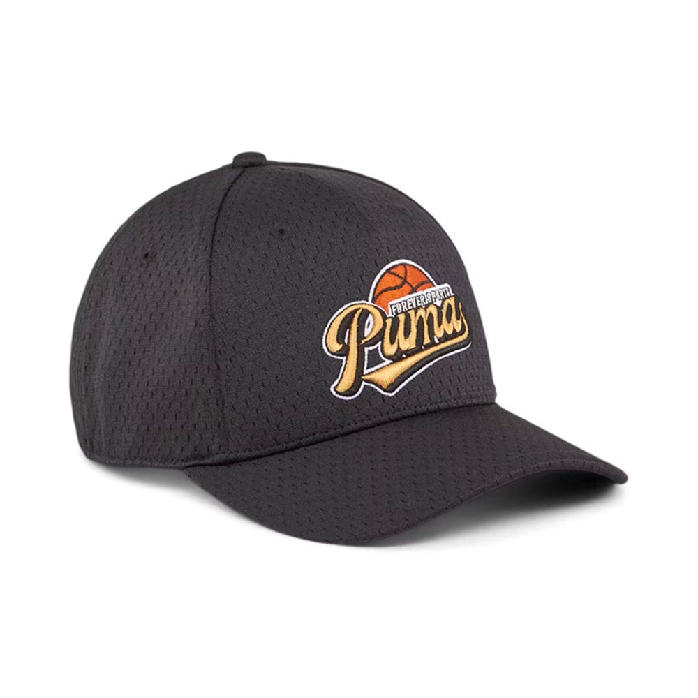 Hometown Heroes Bb Cap Puma image number null